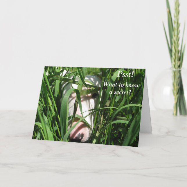 Tarjeta Festiva Quiera saber un el día de San Valentín secreto (Anverso)