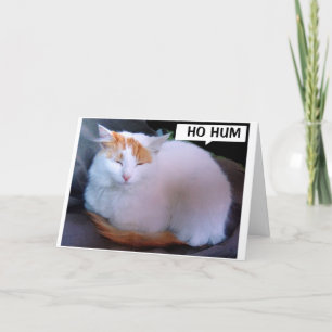 Tarjeta Festiva QUISIERA PODER DECIR ESTO EN PERSONA Feliz cumplea