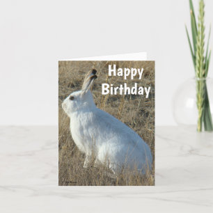 Tarjeta Festiva R25 Snowshoe Hare