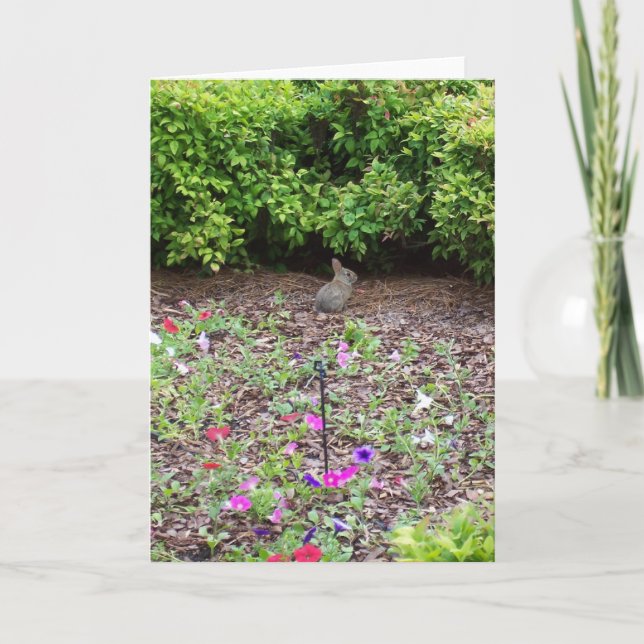 Tarjeta Festiva Rabbit on lawn - Vertical (Anverso)