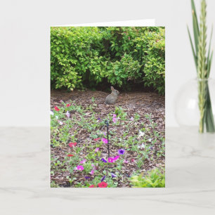 Tarjeta Festiva Rabbit on lawn - Vertical