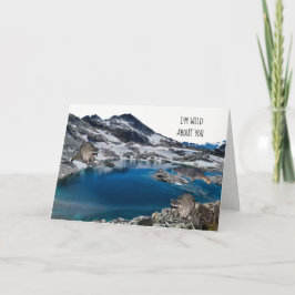 Tarjeta Festiva Racconones en la carta de cumpleaños salvaje