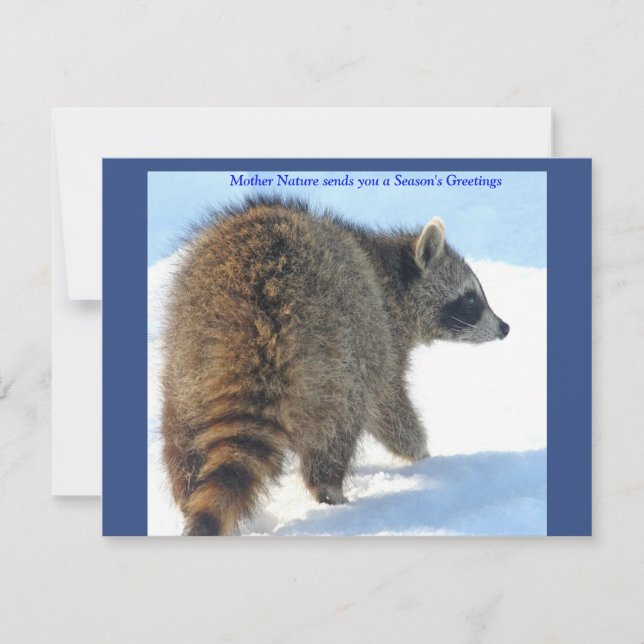 Tarjeta Festiva Raccoon en la nieve navideña (Anverso)