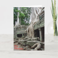 Raíces del árbol en TA Phrom
