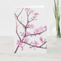 Rama de árbol floreciendo con flores rosadas en pr