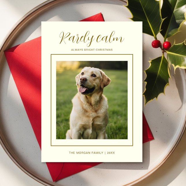 Tarjeta Festiva Rarely Christmas Cozy SweaterDog Cute Holiday card (Subido por el creador)