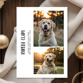 Tarjeta Festiva Rarely Christmas Outdoor 2 Dog Photo Card