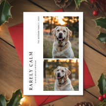 Rarely Christmas Park Outdoor Dog Holiday card