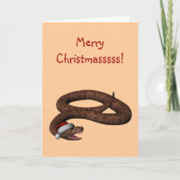 Rattlesnake Con Sombrero Santa