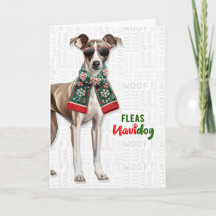 Tarjeta Festiva Raza de perro galgo divertidas pulgas Navidog Navi
