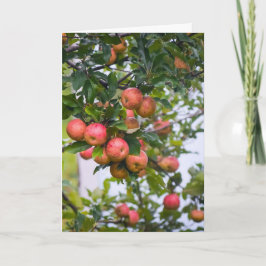 Tarjeta Festiva Receta de salsa de manzana