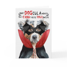 Recuento divertido de pastores australianos DOGcul