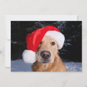 Tarjeta Festiva Recuperador de oro en Santa Hat