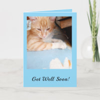 ¡Recupérate Pronto! Amantes de Gatos Azul