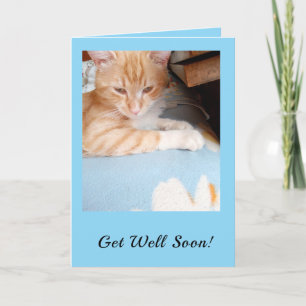 Tarjeta Festiva ¡Recupérate Pronto! Amantes de Gatos Azul