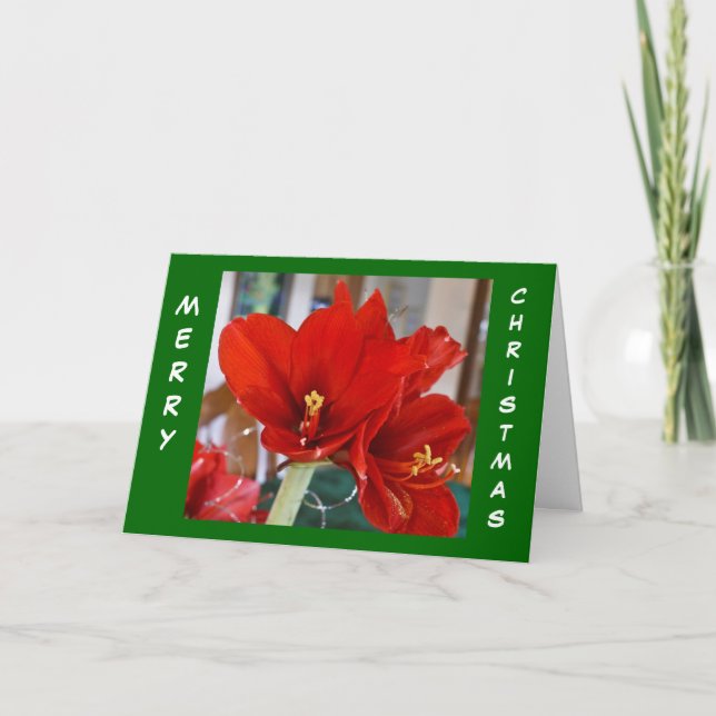 Tarjeta Festiva Red Amaryllis (Anverso)