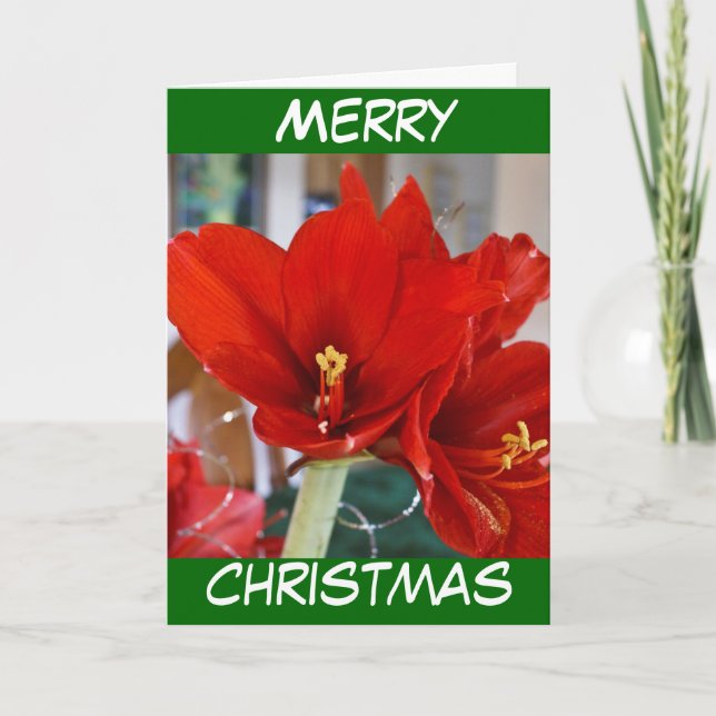 Tarjeta Festiva Red Amaryllis (Anverso)
