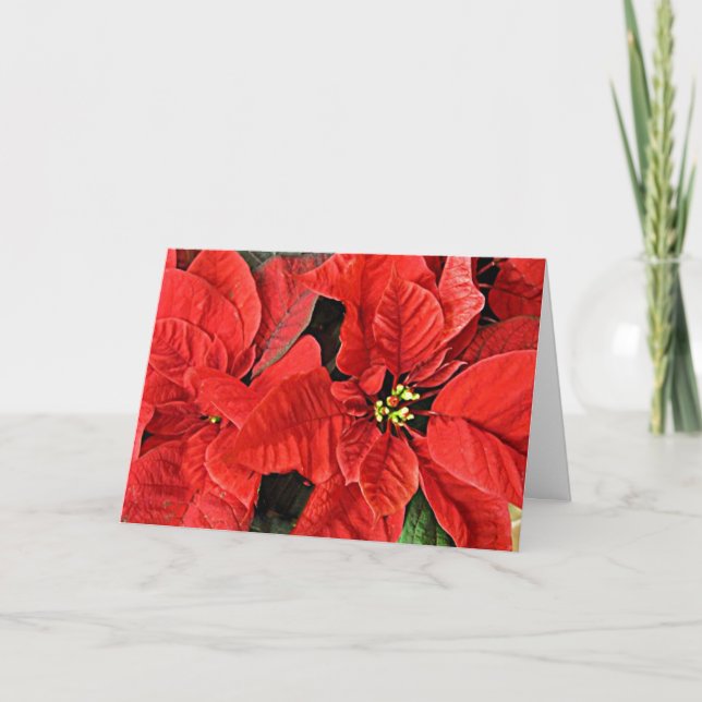 Tarjeta Festiva Red Poinsettias Christmas Holiday Card (Anverso)