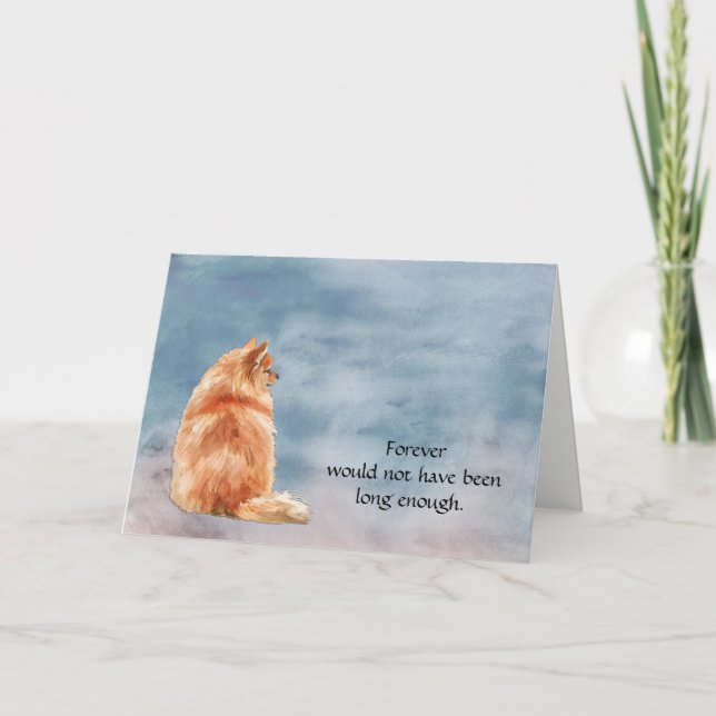 Tarjeta Festiva Red Pomeranian Dog Condolence Sympathy Card (Anverso)