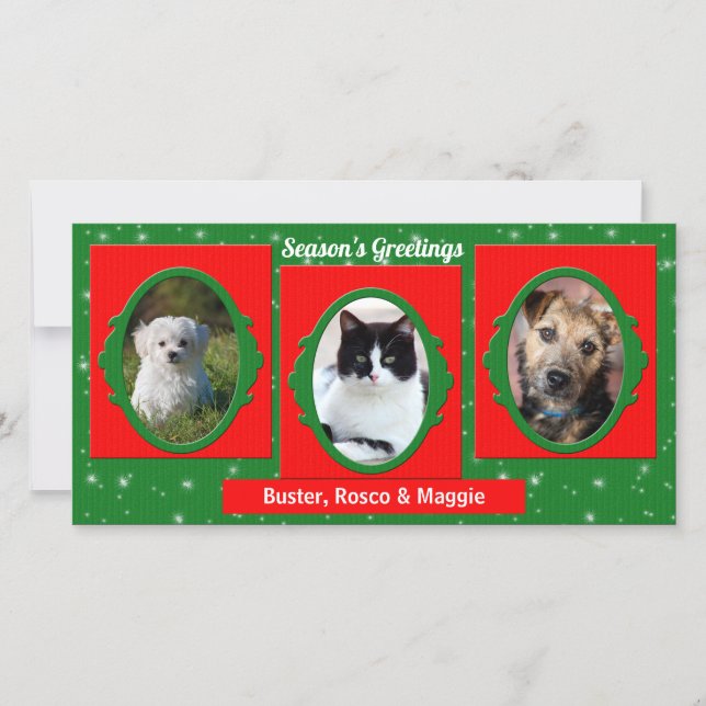 Tarjeta Festiva Red y Green Pet Lover 3 Foto (Anverso)