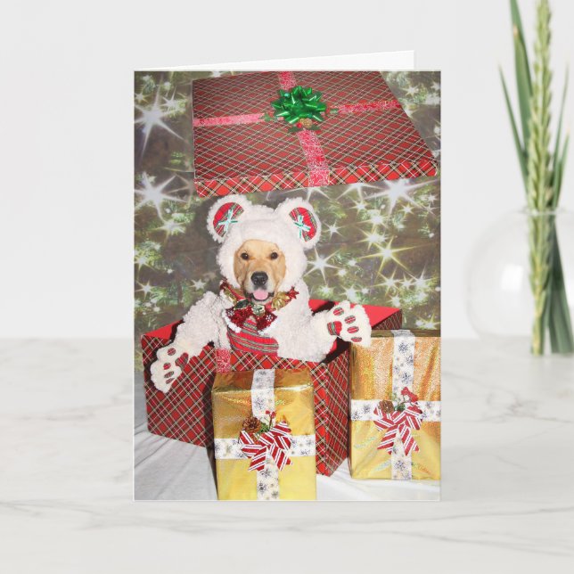 Tarjeta Festiva Regalo de Oso de Teddy de Golden Retriever (Anverso)