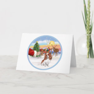Tarjeta Festiva Regalo para un Cavalier Blenheim