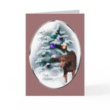 Regalos de Navidades de Curly Coever