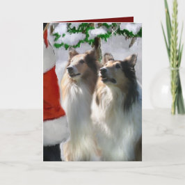 Tarjeta Festiva Regalos de Navidades de Sable Rough Collie