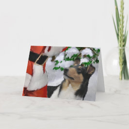 Tarjeta Festiva Regalos de Navidades de Smooth Collie