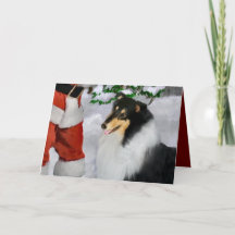 Regalos de Navidades de Tri-Color Rough Collie