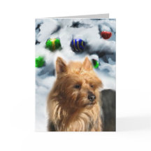 Regalos de Navidades Territoriales de Australia