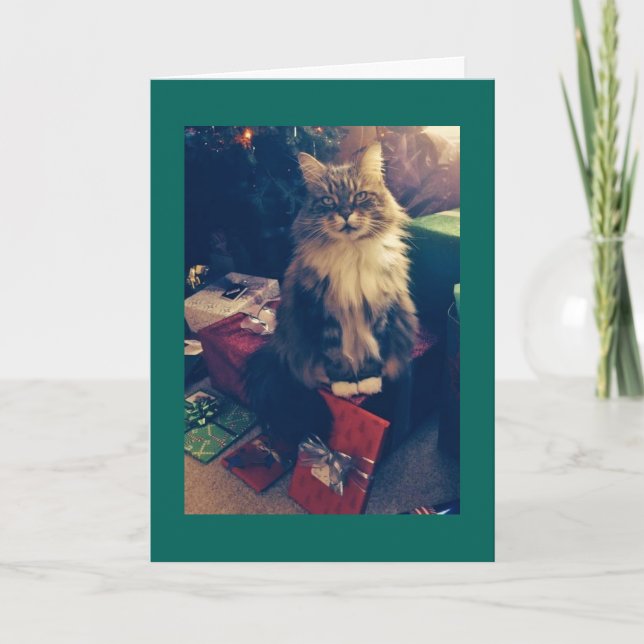 Tarjeta Festiva Regalos de navidades y gatos (Anverso)