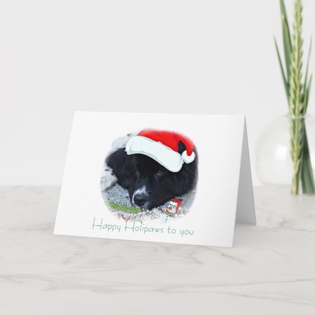 Tarjeta Festiva Regalos de vacaciones de Santa Paw en Terranova (Anverso)