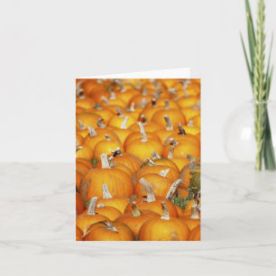 Tarjeta Festiva Remiendo de la calabaza