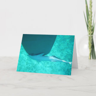 Tarjeta Festiva Remora de Sharksucker