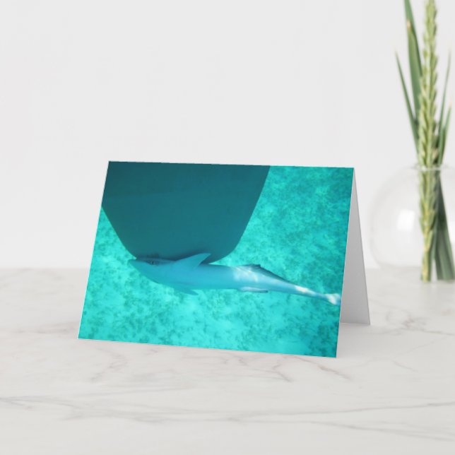Tarjeta Festiva Remora de Sharksucker (Anverso)