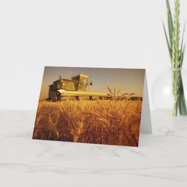 Tarjeta Festiva Reparando recompensas (Anverso)