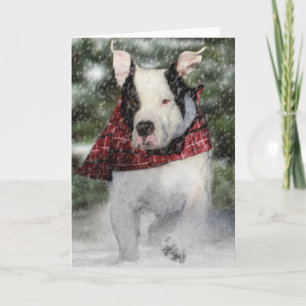 Tarjeta Festiva Rescate de Bulldog Cachorro corriendo por la nieve