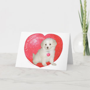 Tarjeta Festiva Rescate de perro blanco pequeño San Valentín