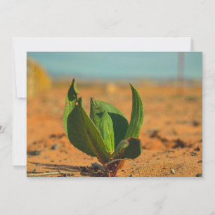 Tarjeta Festiva resiliencia