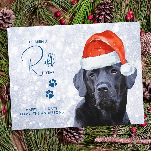 Tarjeta Festiva Resumen del año de la racha de perro recuperador d (Subido por el creador)