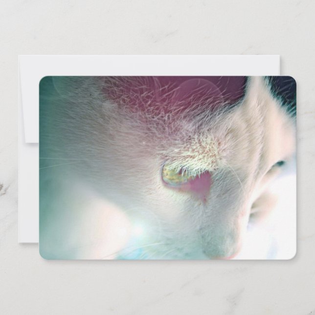 Tarjeta Festiva Retrato de gato soñador (Anverso)