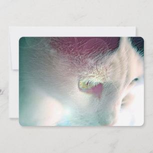 Tarjeta Festiva Retrato de gato soñador