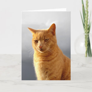 Tarjeta Festiva Retrato de Merlin el gato pelirrojo