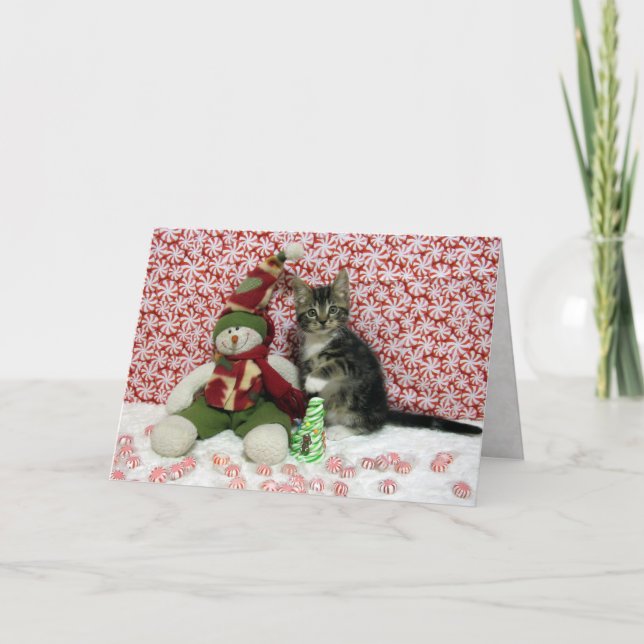 Tarjeta Festiva Retrato de Navidades de Bandit - Gato / Gatito (Anverso)