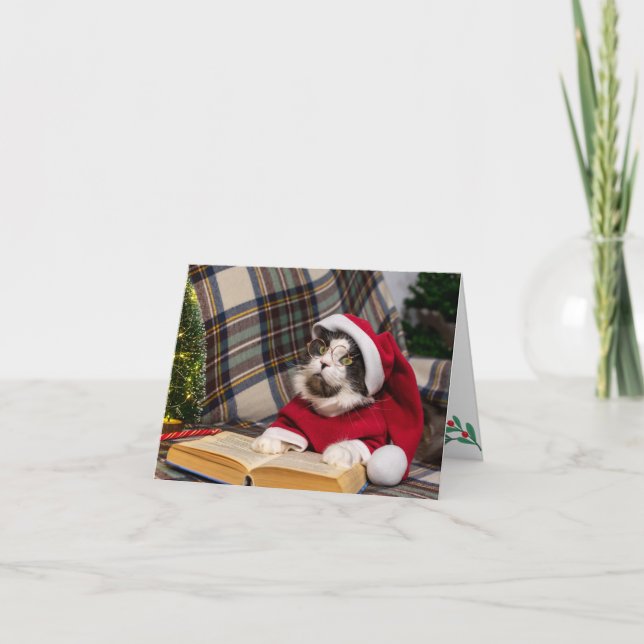 Tarjeta Festiva Retrato de Navidades del gato Maine Coon (Anverso)
