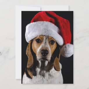 Tarjeta Festiva Retrato de perro atormentado usando Navidades gorr