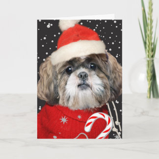 Tarjeta Festiva Retrato de Shih Tzu Santa