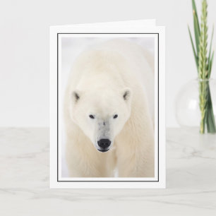 Tarjeta Festiva Retrato de un oso polar