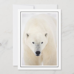 Tarjeta Festiva Retrato de un oso polar